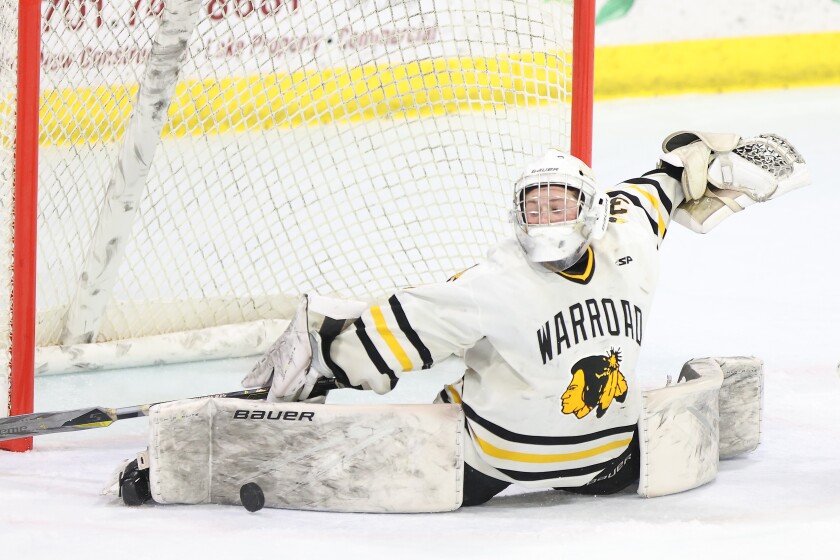 10 area players to watch in Minnesota boys hockey - Grand Forks Herald | Grand Forks, East Grand Forks news, weather & sports