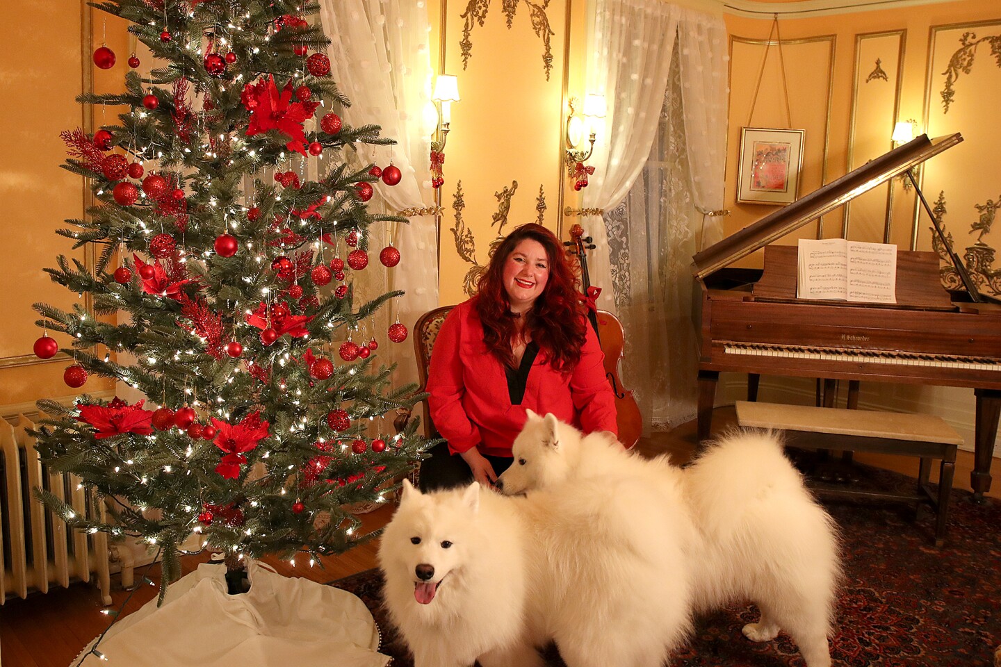 Marcia Hales Christmas Lights 2025