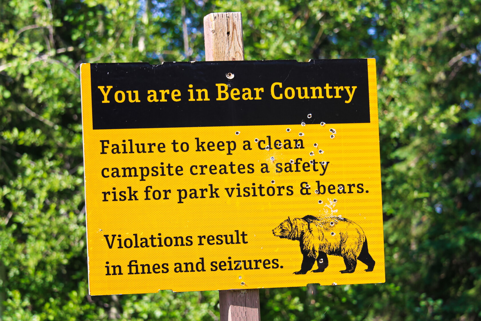 Keep These Bear Tips In Mind While Camping In The North Woods Duluth keep-these-bear-tips-in-mind-while-camping-in-the-north-woods-duluth
