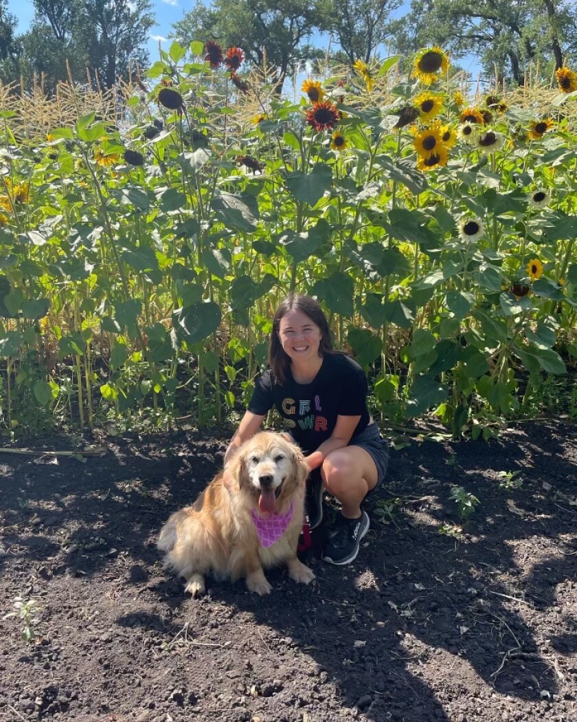 A girl in a black t-shirt and a golden retriever dog with a pink bandana stand in front of sunflowers.