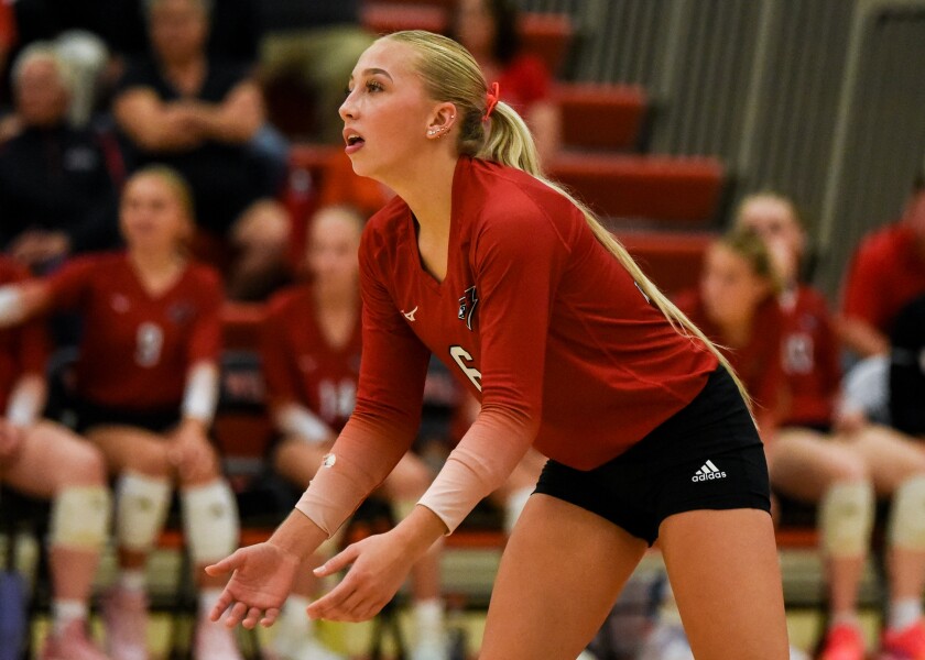 Volleyball roundup: Willmar Cardinals make quick work of St. Cloud Tech ...