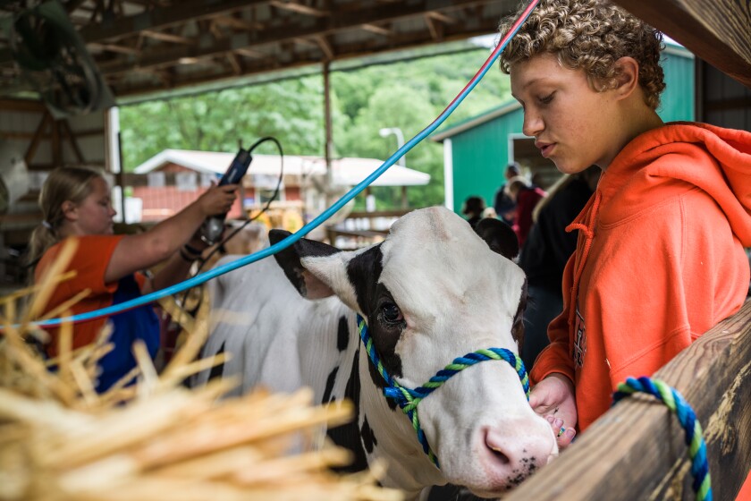 Wabasha County Fair