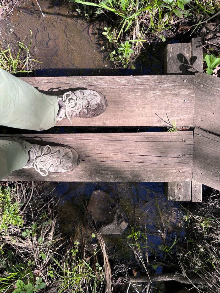 Wooden planks of Superior Hiking Trail and muddy shoes