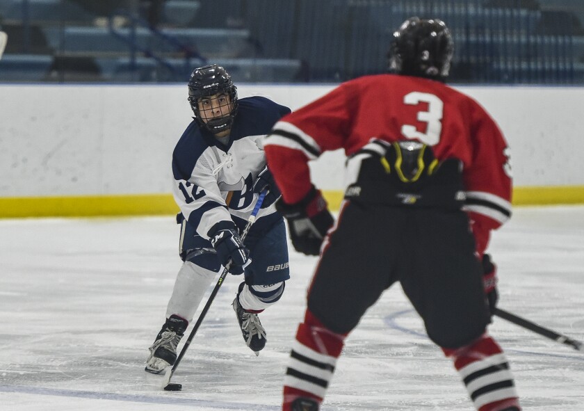 BOYS HOCKEY: Tate Metcalf shutout secures Bemidji’s 3-0 win over ...