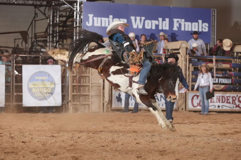Ethan's Hunter Hohn finishes first in state junior high rodeo standings ...