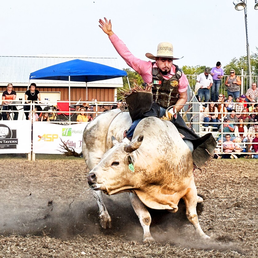 Bull riding in Osakis draws big crowd w/video - Alexandria Echo Press ...