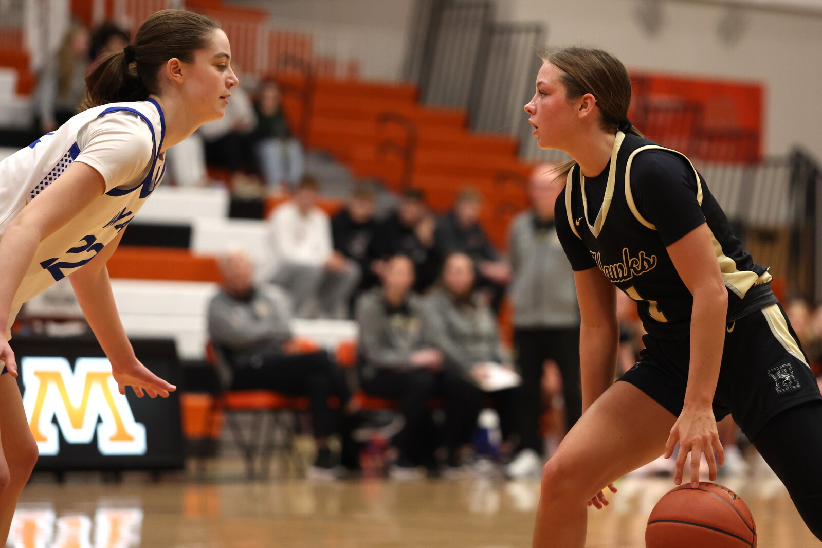 West Fargo Horace all-state guard Donnelly commits to Bison women’s basketball team