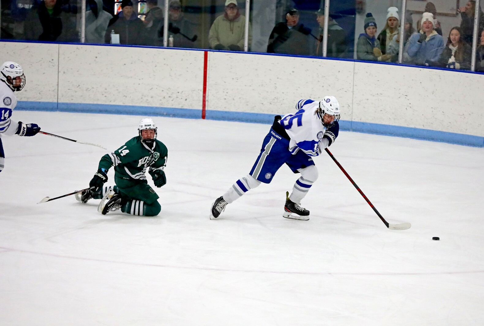 Brainerd Boys Hockey vs Roseau Gallery (19).jpg