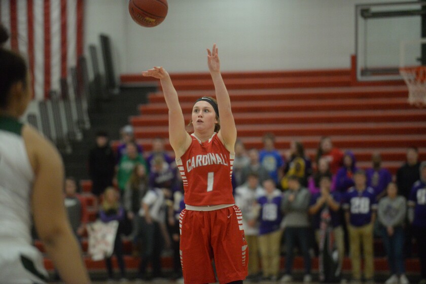 Willmar girls basketball takes on Sauk Rapids-Rice on Jan. 16, 2018 at Willmar High School. Curt Hogg / Tribune