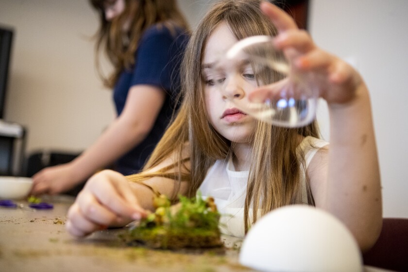 Emma Worcester, 6, carefully adjust the foliage for her Pokémon's new home as families gathered to build dozens of the tiny homes for their Pokémon at the Willmar Public Library Thursday, March 31, 2022.