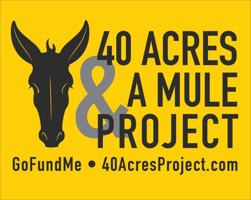 40 Acres & A Mule
