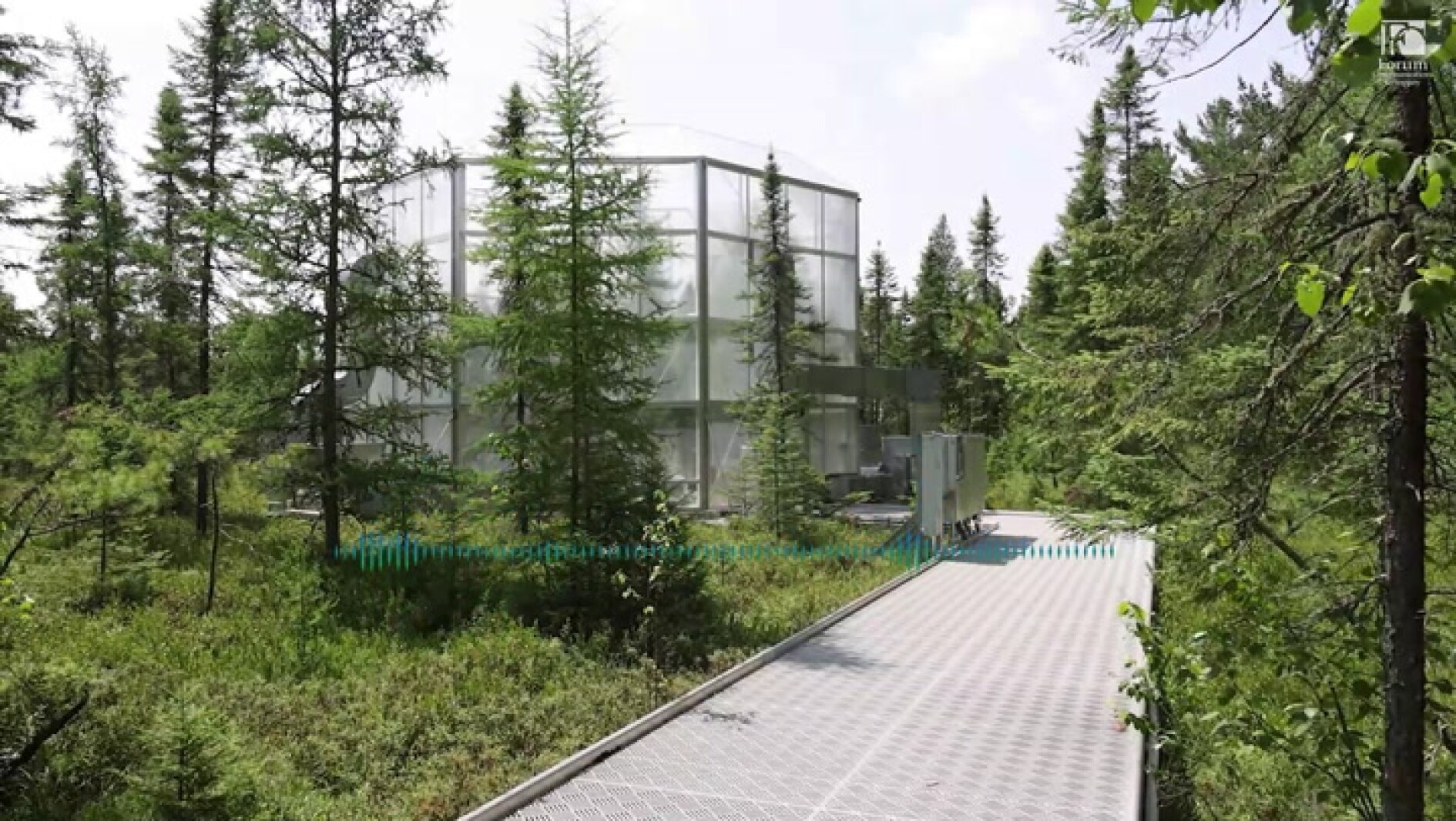 Listen: Science fiction meets fact with bog enclosures in experimental forest - Vimarsana News