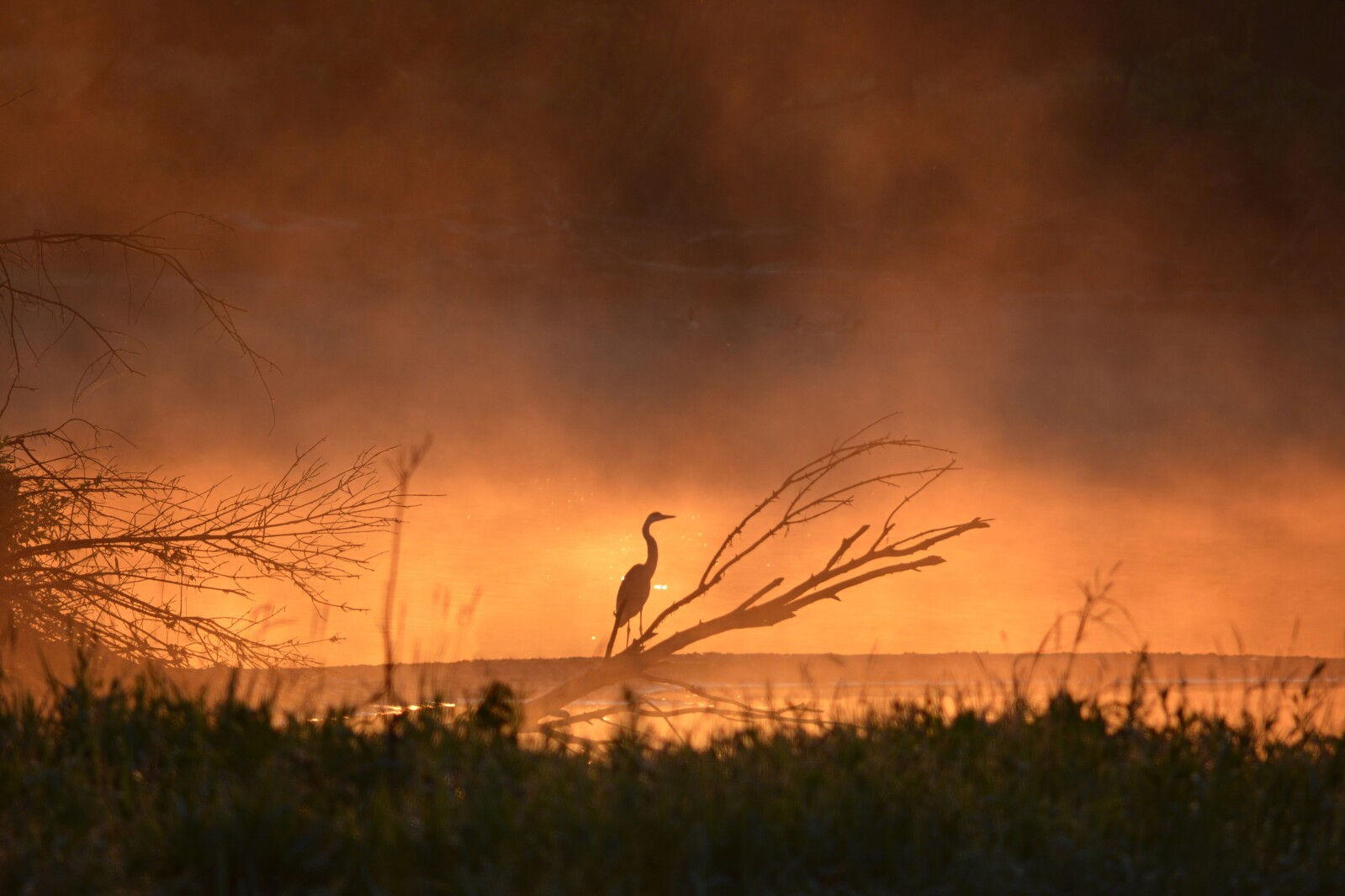 Nobles County Library In Worthington To Host Photography Display The nobles-county-library-in-worthington-to-host-photography-display-the