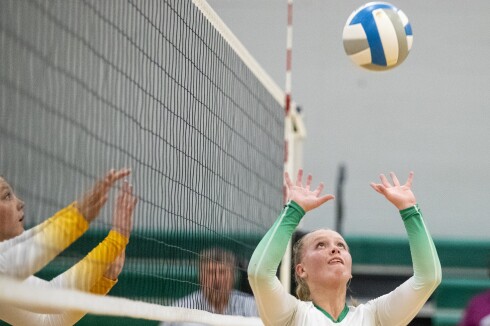 Litchfield v NLS VB 001.jpg