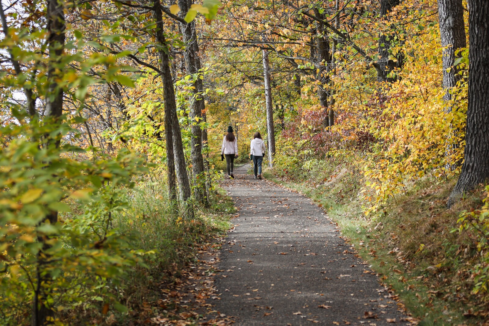 September Events Set At Lake Bemidji State Park september-events-set-at-lake-bemidji-state-park