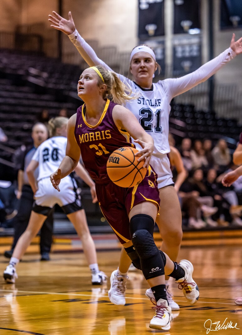 Beautiful view of Sprouted Forks Notebook Systems Carved Homes