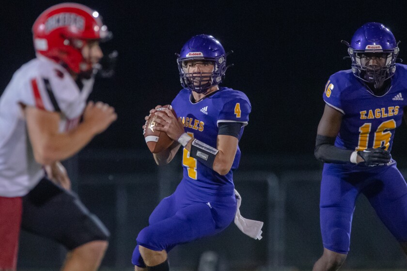 Lourdes vs. Cannon Falls Football