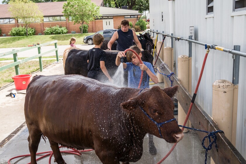 Olmsted County Fair