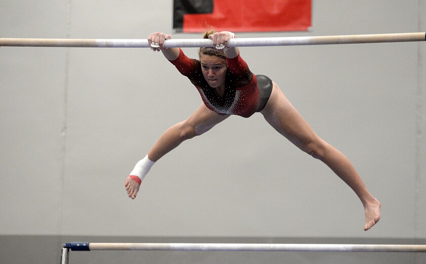 121121.S.WCT.Willmar Gym Koosman bars.jpg