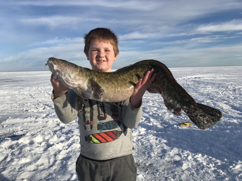 Maxson Hangsleben eelpout.jpg