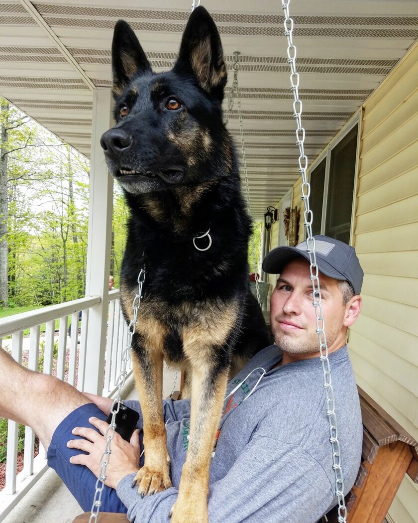 Dog on lap of owner