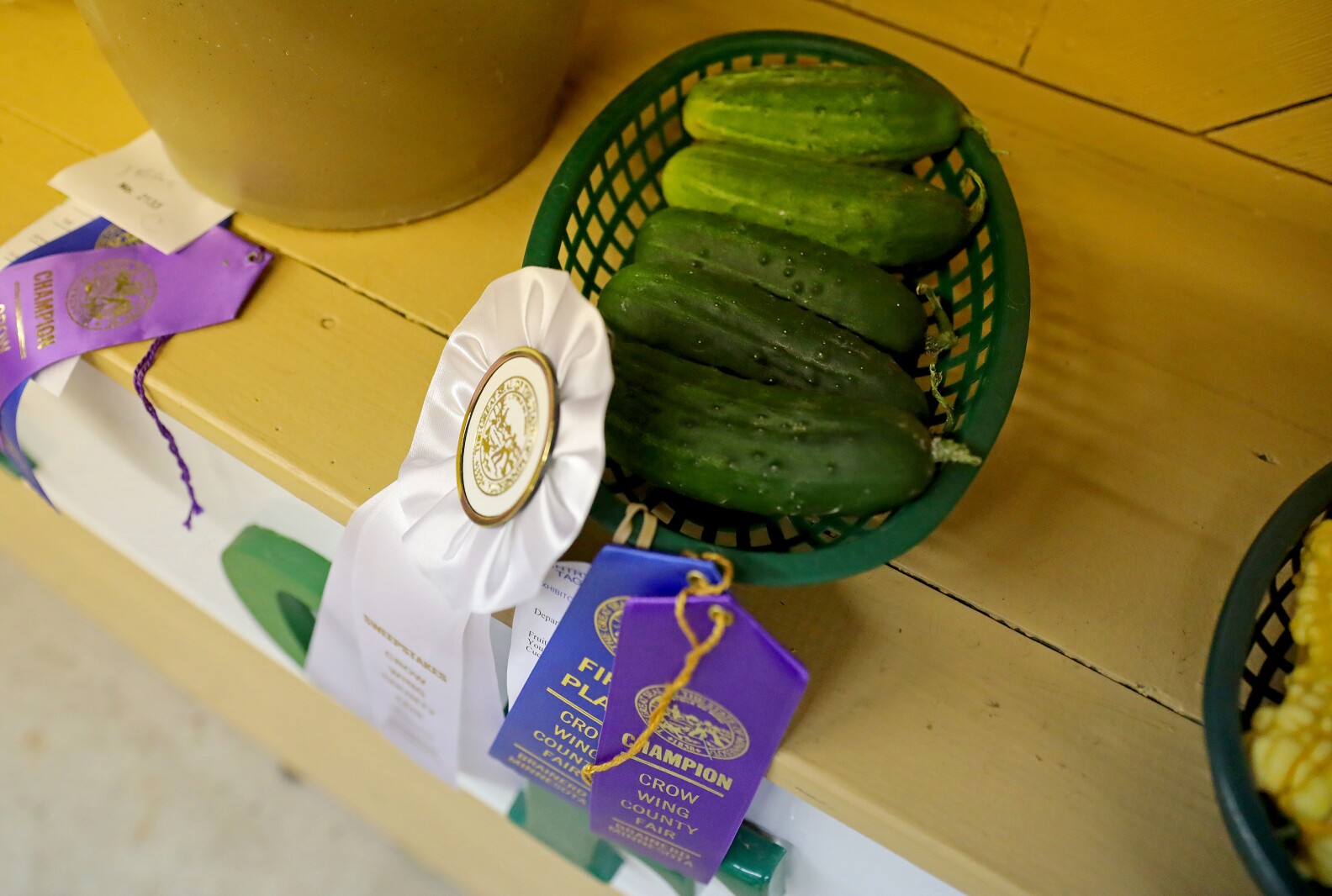 Crow Wing County Fair Aug. 2022.