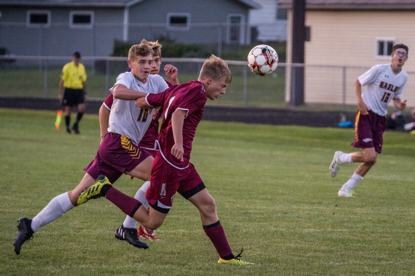 Stewartville, Dover-Eyota boys soccer