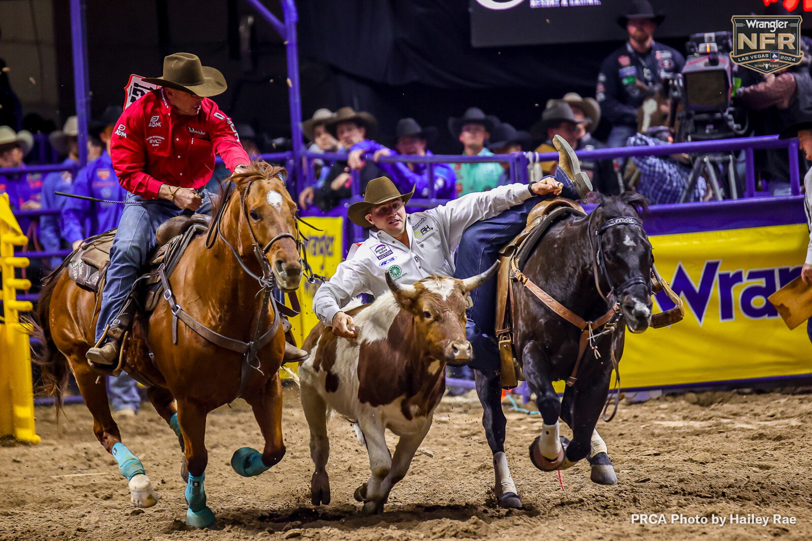Mvta Rodeo Pro Rodeo: Struxness stays steady at NPR - West Central Tribune | News ...
