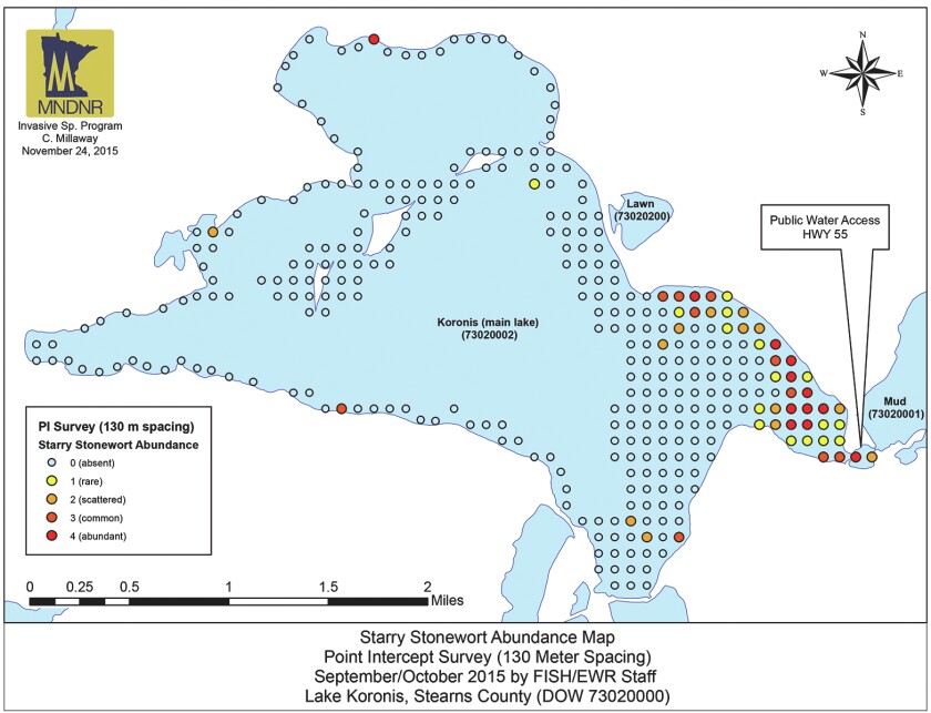 starry stonewort map Lake Koronis