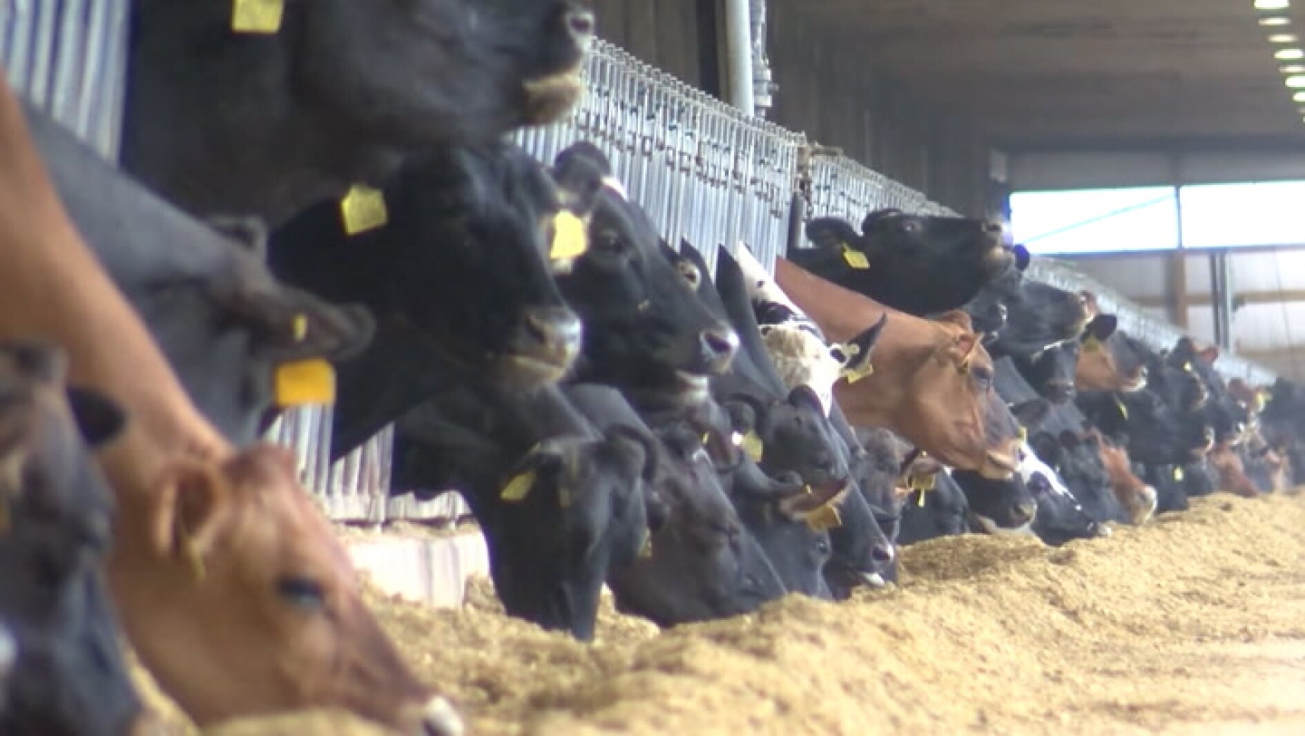 AgweekTV Full Show: Tariffs and trade, Riverview, Farmfest Woman Farmer of the Year, wildflower honey