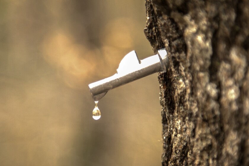 050722.N.BP.SUSTAINABILITY - 6.jpg