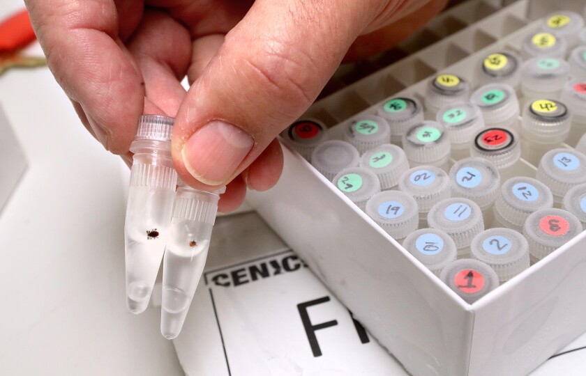 UMD Ixodes Outreach Project