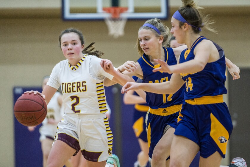 Lourdes, Stewartville girls basketball