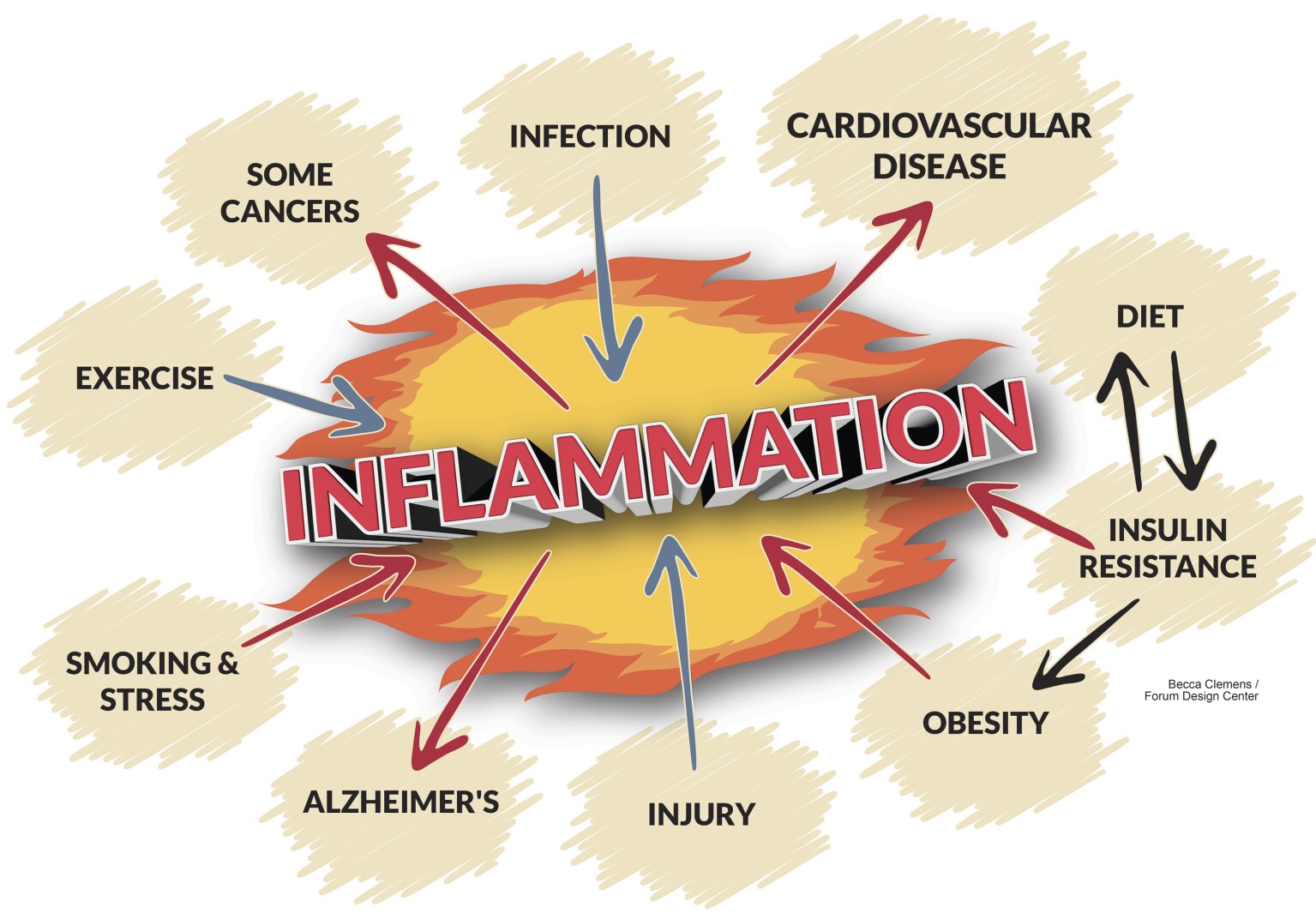 The good news, and bad news, of inflammation - Duluth News Tribune ...