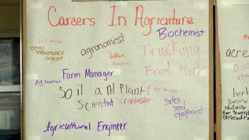 A white board is covered in lists of careers in agriculture.