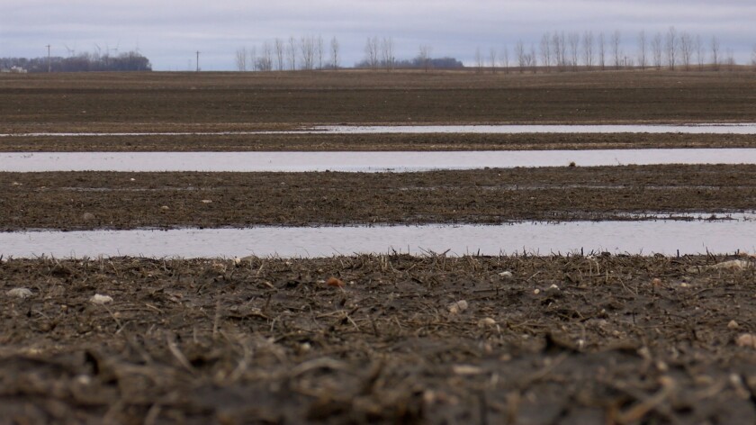 Water is shown intermittently covering a field. The focus is on damp soil in the foreground.