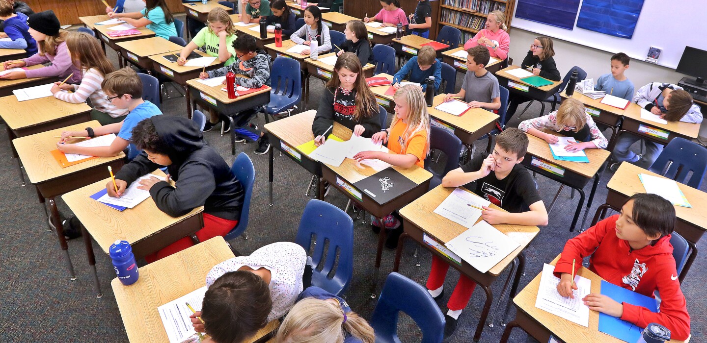 Leseergebnisse der Minnesota-Schule fallen; weniger als 50 % bewandert in Mathematik, Naturwissenschaften – Duluth News Tribune Leseergebnisse der Minnesota-Schule fallen; weniger als 50 % bewandert in Mathematik, Naturwissenschaften – Duluth News Tribune