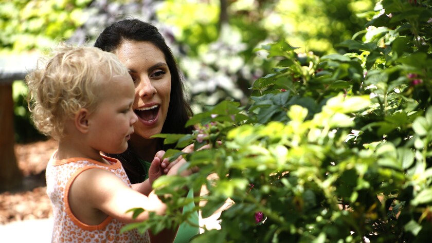 Woman with 2-year-old daughter explore the garden.