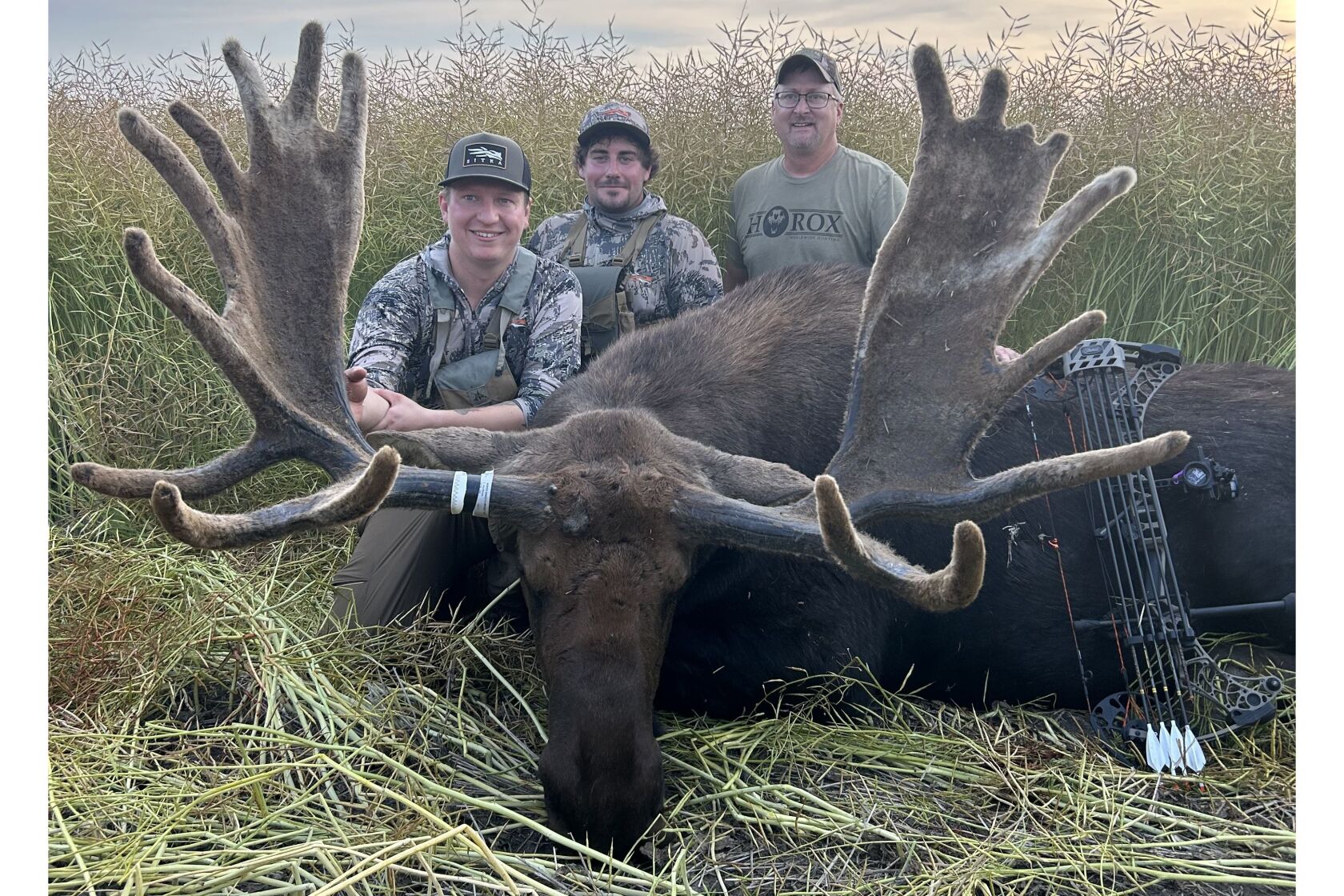 North Dakota moose in velvet may be Pope & Young world record - Grand ...