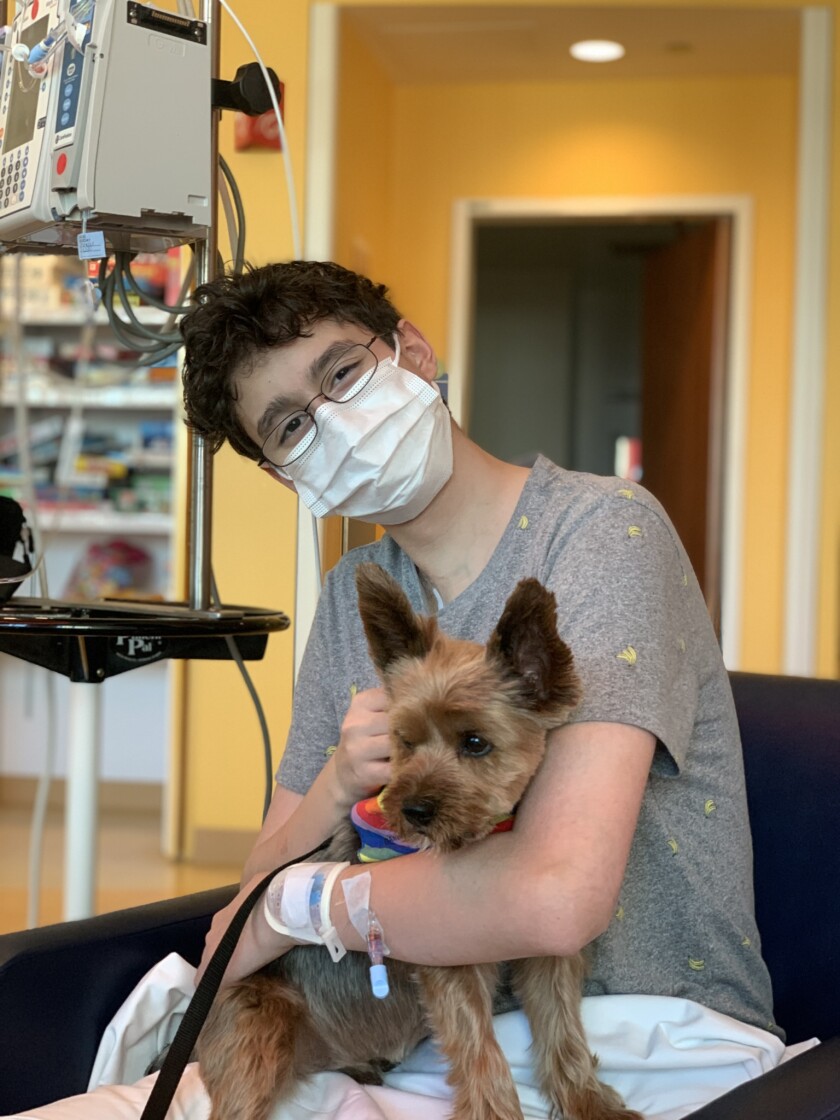 young man wearing a mask holds a dog
