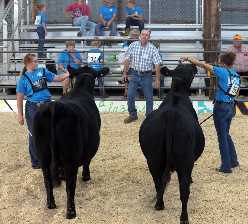 Brynn Bullerman, left, and Alexa Kilker hold their Senior Yearling Breeding Heifers for Judge DJ Folkerts during the Nobles County 4-H Beef Show in the Olson Arena Thursday, Aug. 4, 2022.