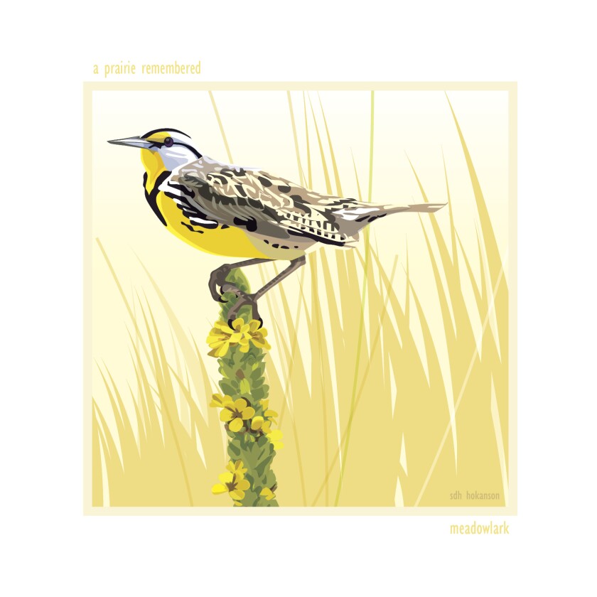 A_Prairie_Remebered__Meadowlark_Hokanson.jpg