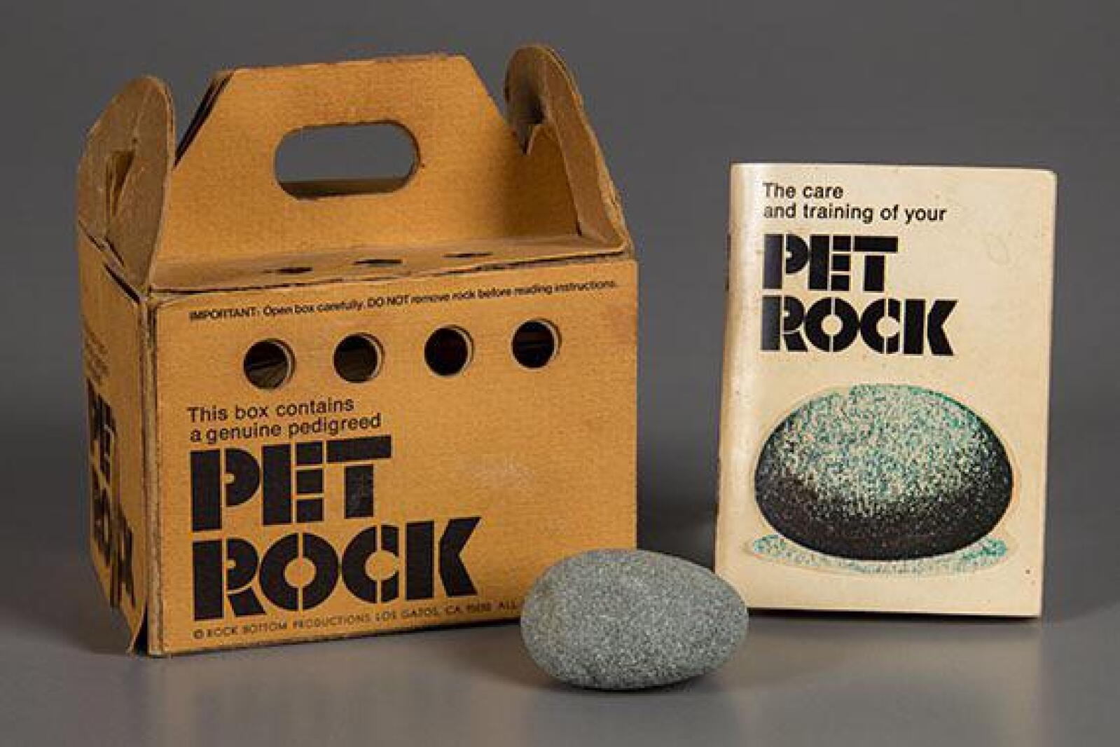 Moorhead Rocks The Pet Rock was hatched 50 years ago by a North Dakota native ...