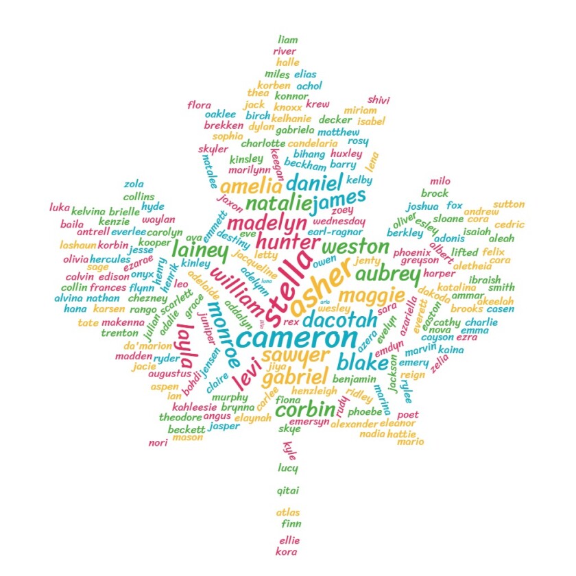 A word cloud in the shape of a maple leaf with Cameron, Stella, and Asher as the largest words.
