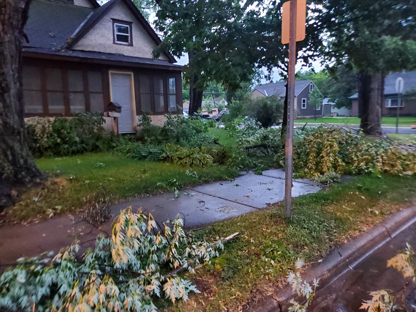 20220620_210341.jpg