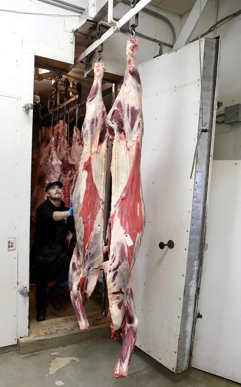 Dustin Soyring pushes a few halves of beef out of the freezer that will be butchered for customers at Litchke Farms