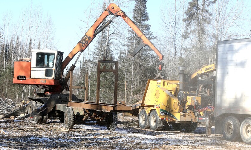 030321.n.dnt.logging9.jpg