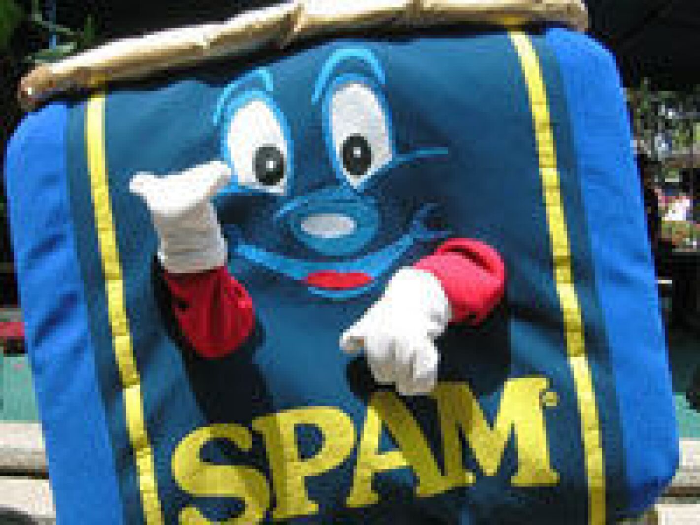 More on Spam Arrest case Post Bulletin Rochester Minnesota news