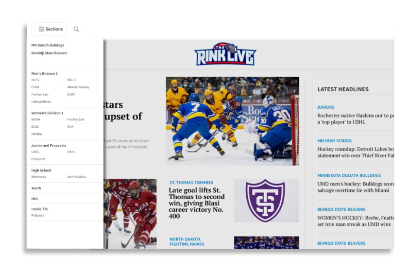1RinkLIve_NewWebsite_Promo21-ARTCILE_ART-SimplifiedNavigation.jpg