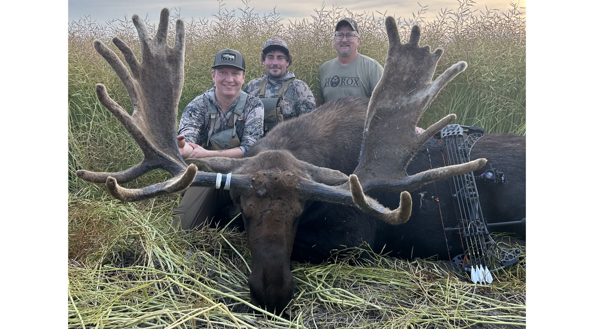 Largest Moose Ever Shot: Jaw-Dropping Record Breaker